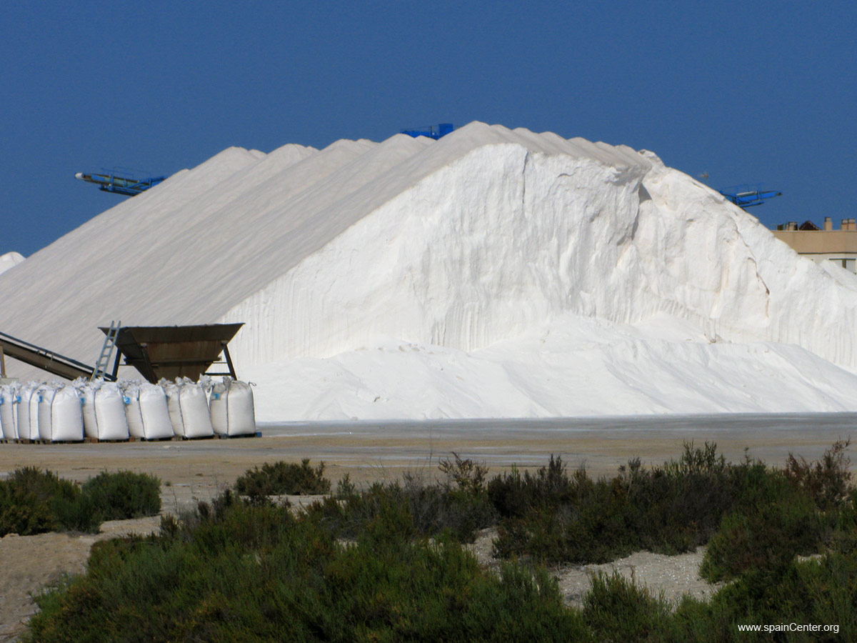 Palmisal - Salinas de santa pola